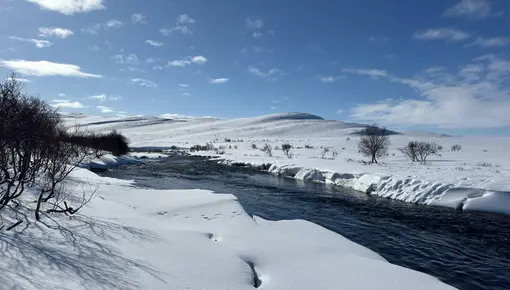 Kongsfjordelva i Vinterdrakt
