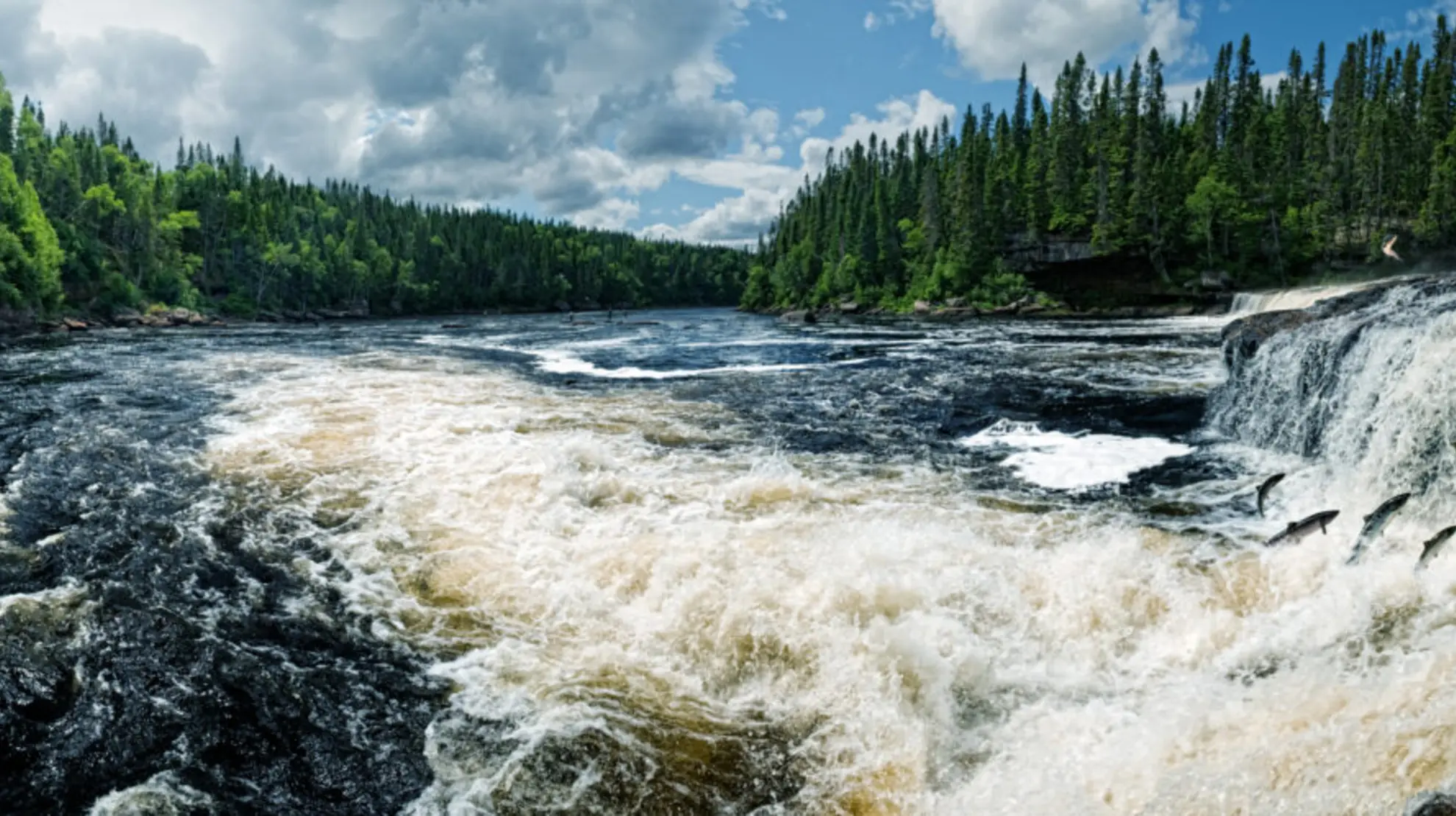 Austnes i Verdalselva