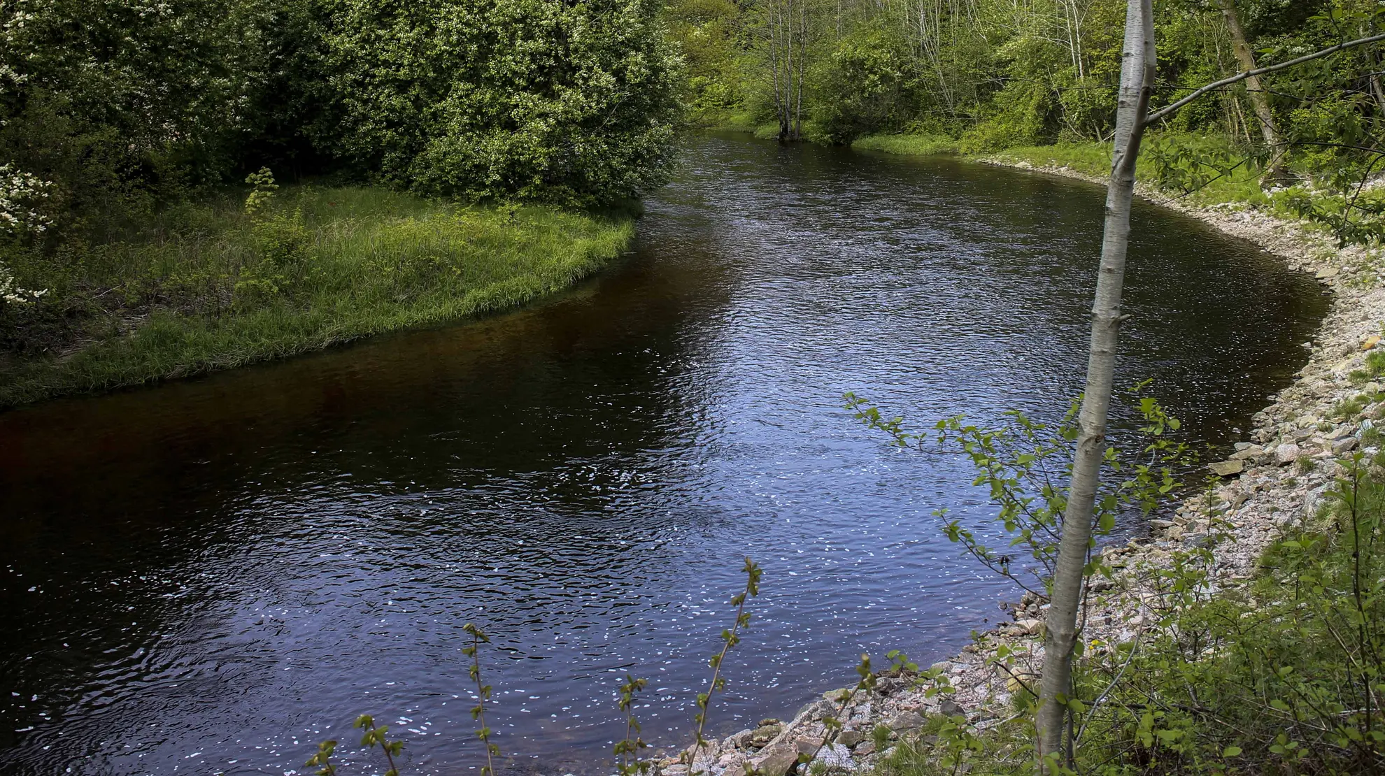 Nesvahølen og Jenshølen