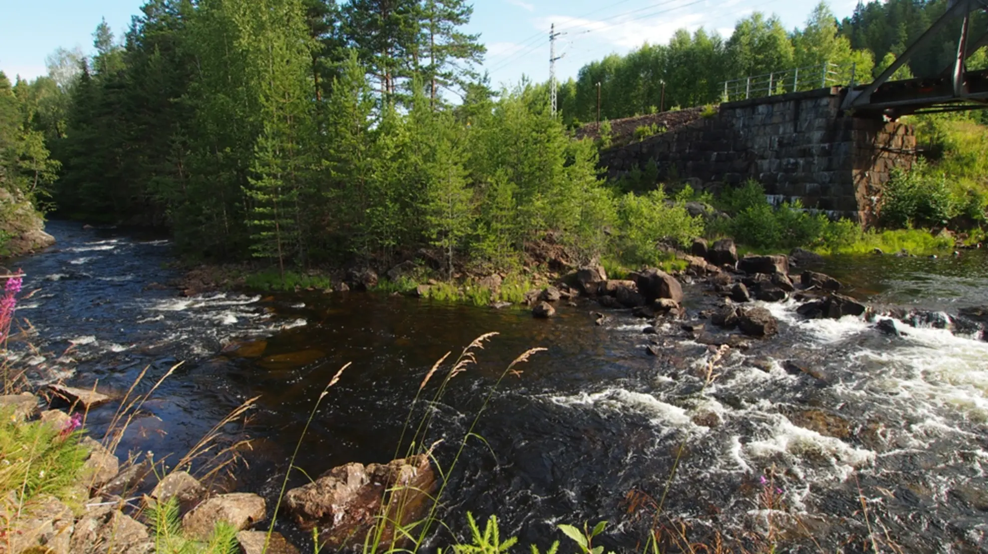 Tveiteelva i Kragerøvassdraget Tveiteelva i Kragerøvassdraget