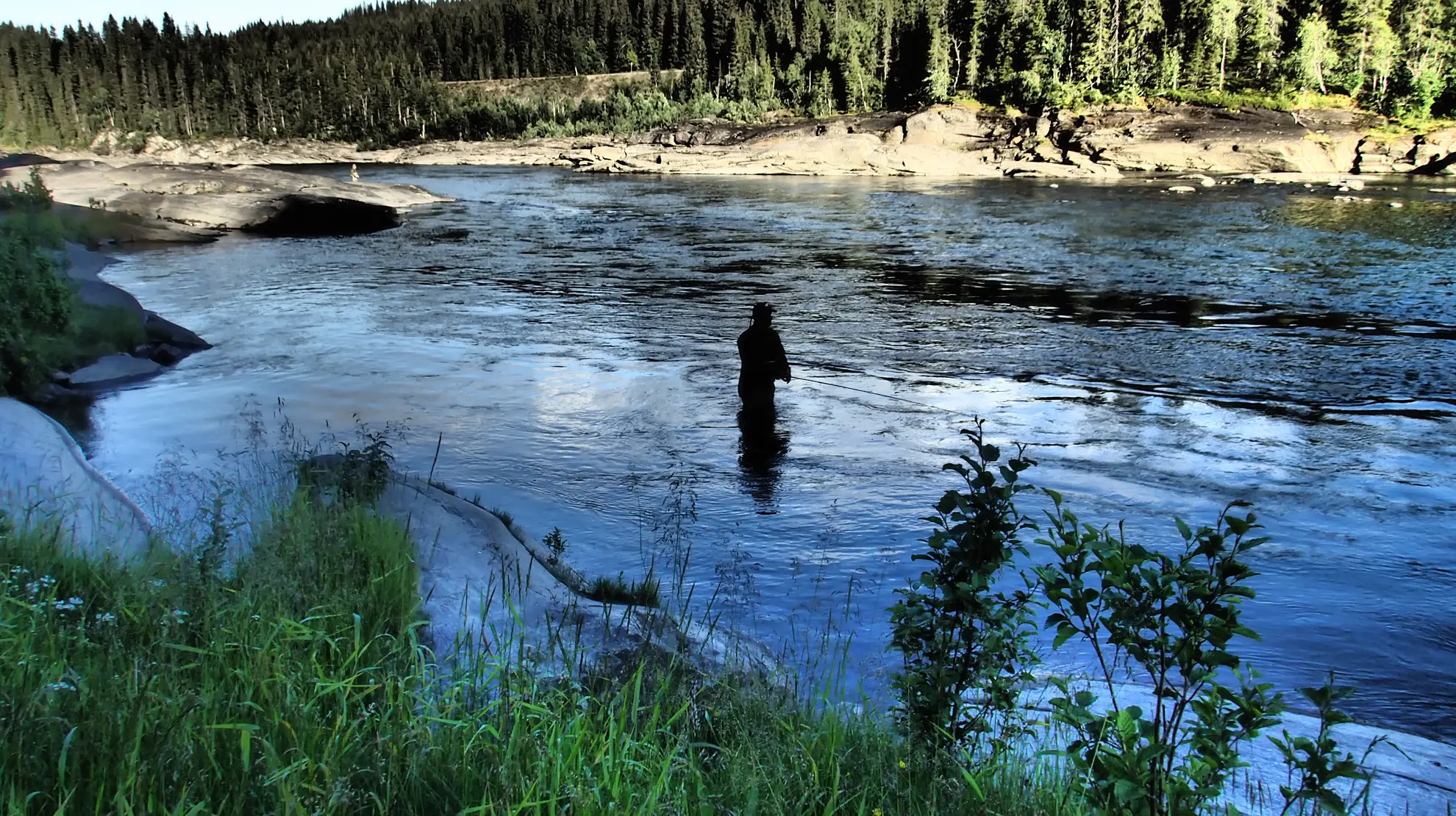 Reinforsen og aurene på Øvre Meforsen